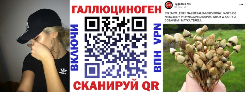 Галлюциногенные грибы мицелий  Макарьев 